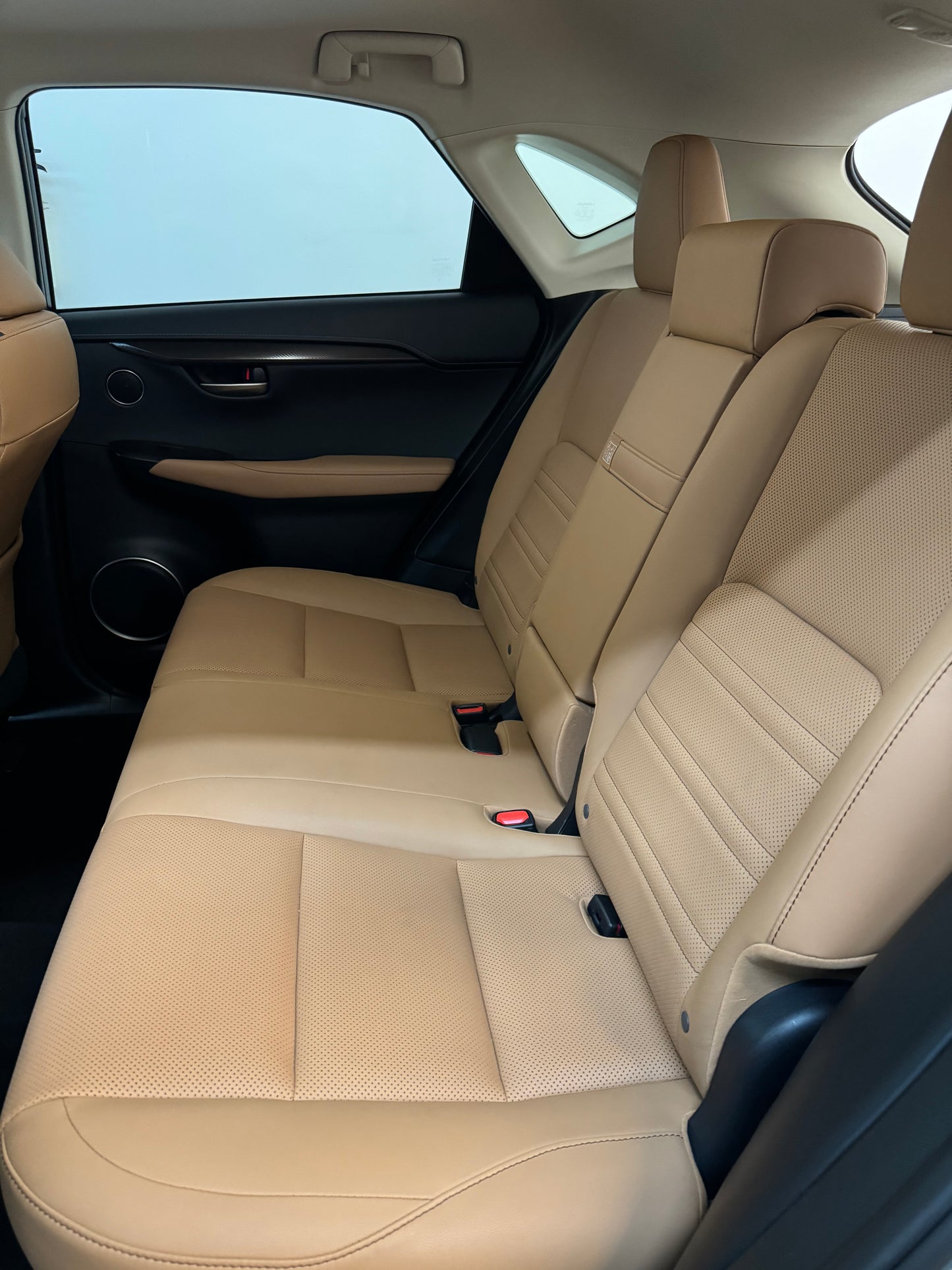 Interior Leather Cleaning and Conditioning