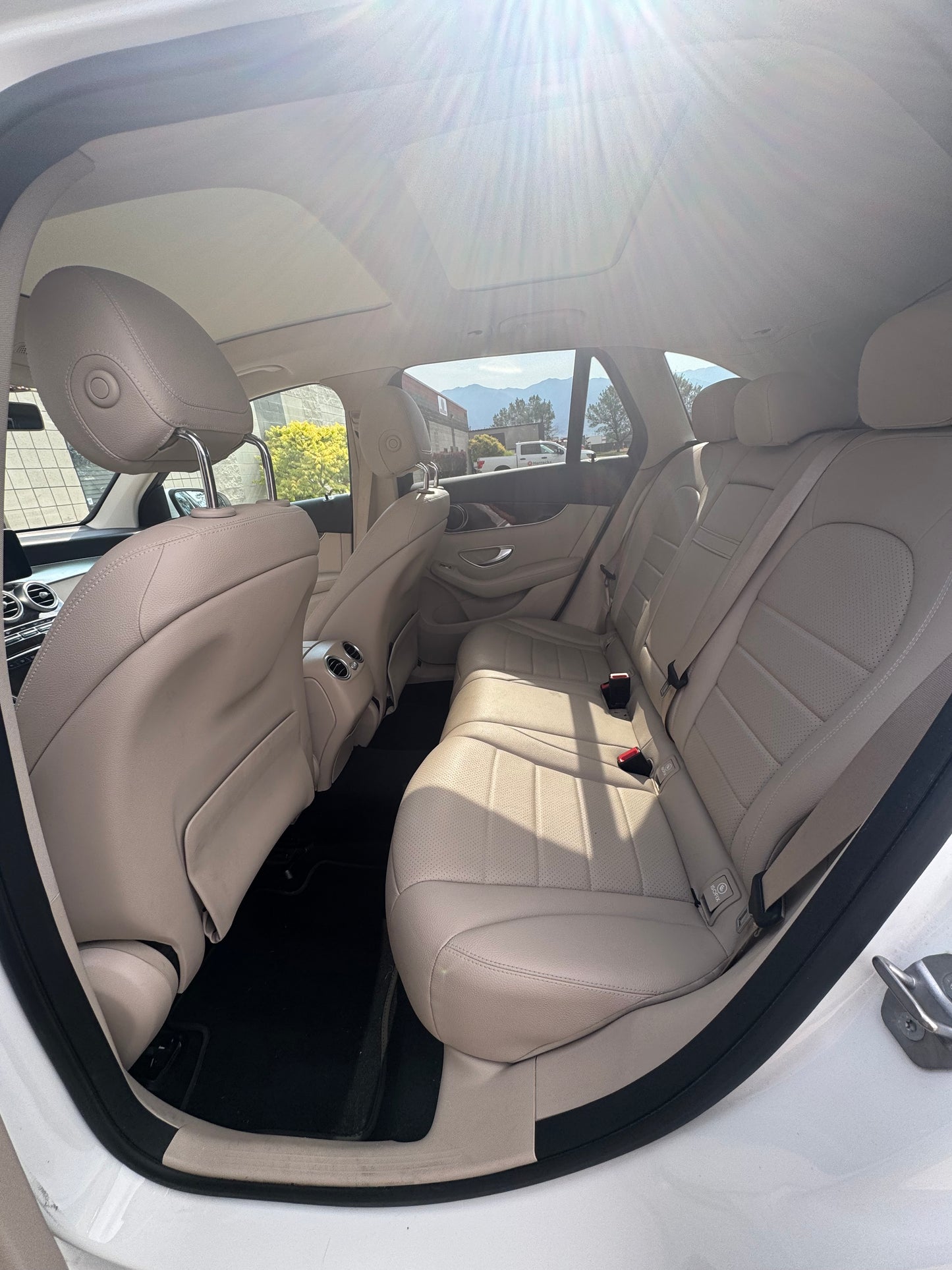 Interior Leather Cleaning and Conditioning