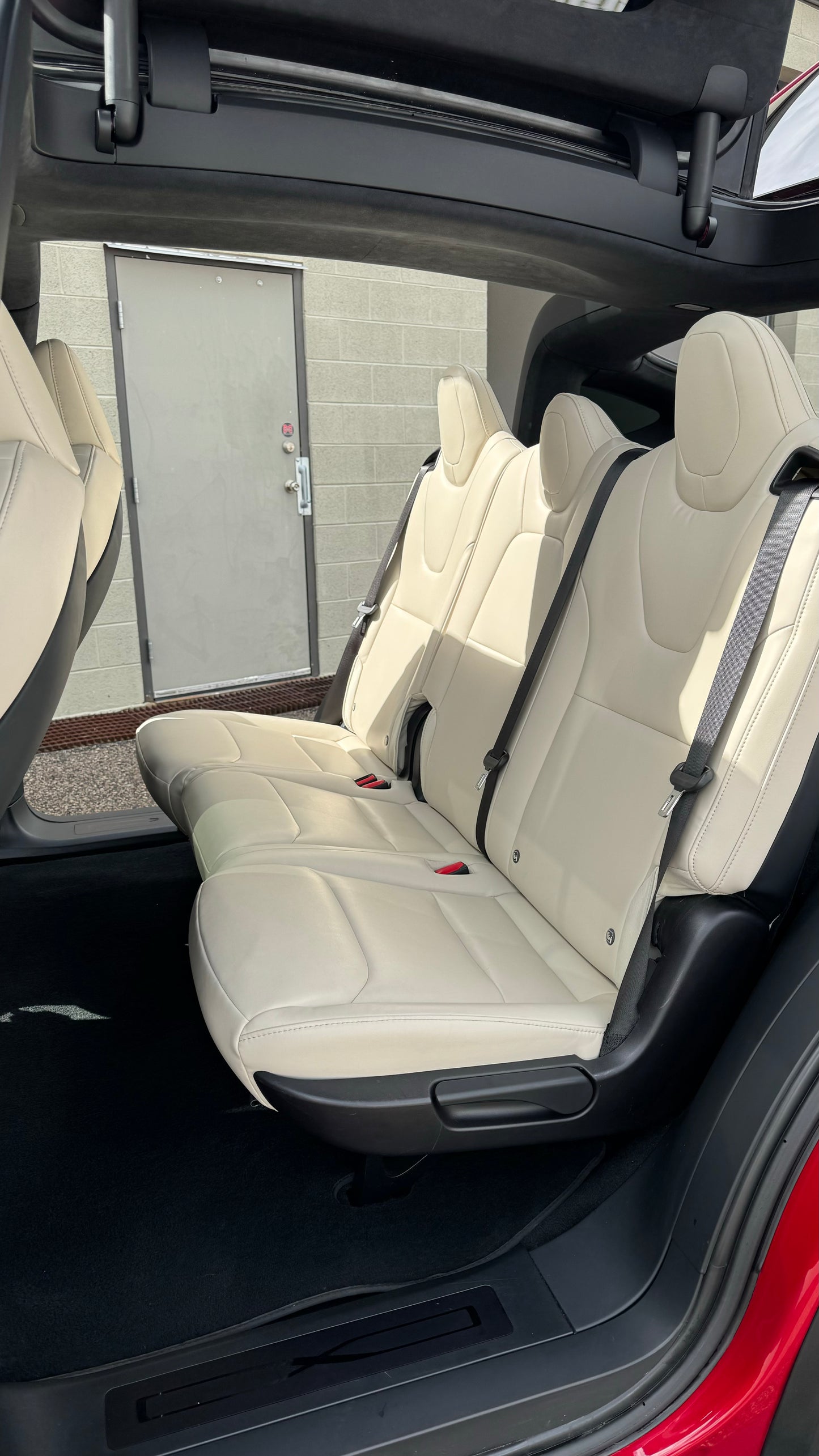 Interior Leather Cleaning and Conditioning
