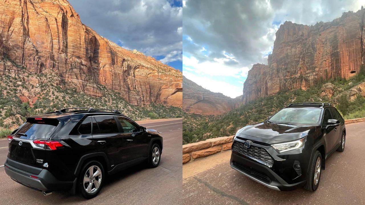 Amazing service and fantastic results!