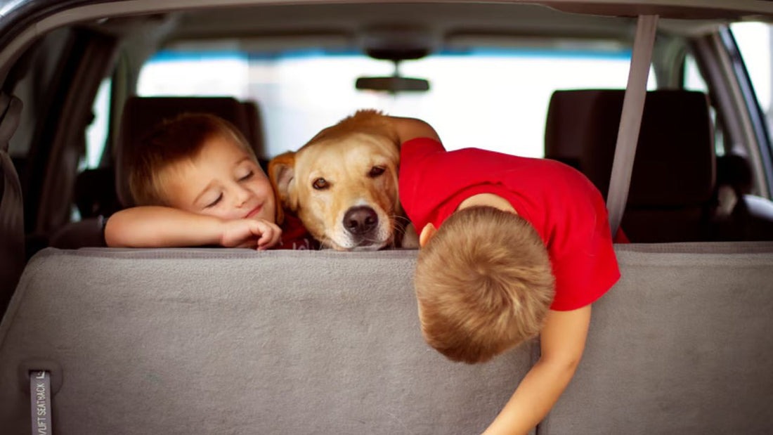 Two young boys and a golden retriever dog leaning over the back seat of a car with grey fabric upholstery.