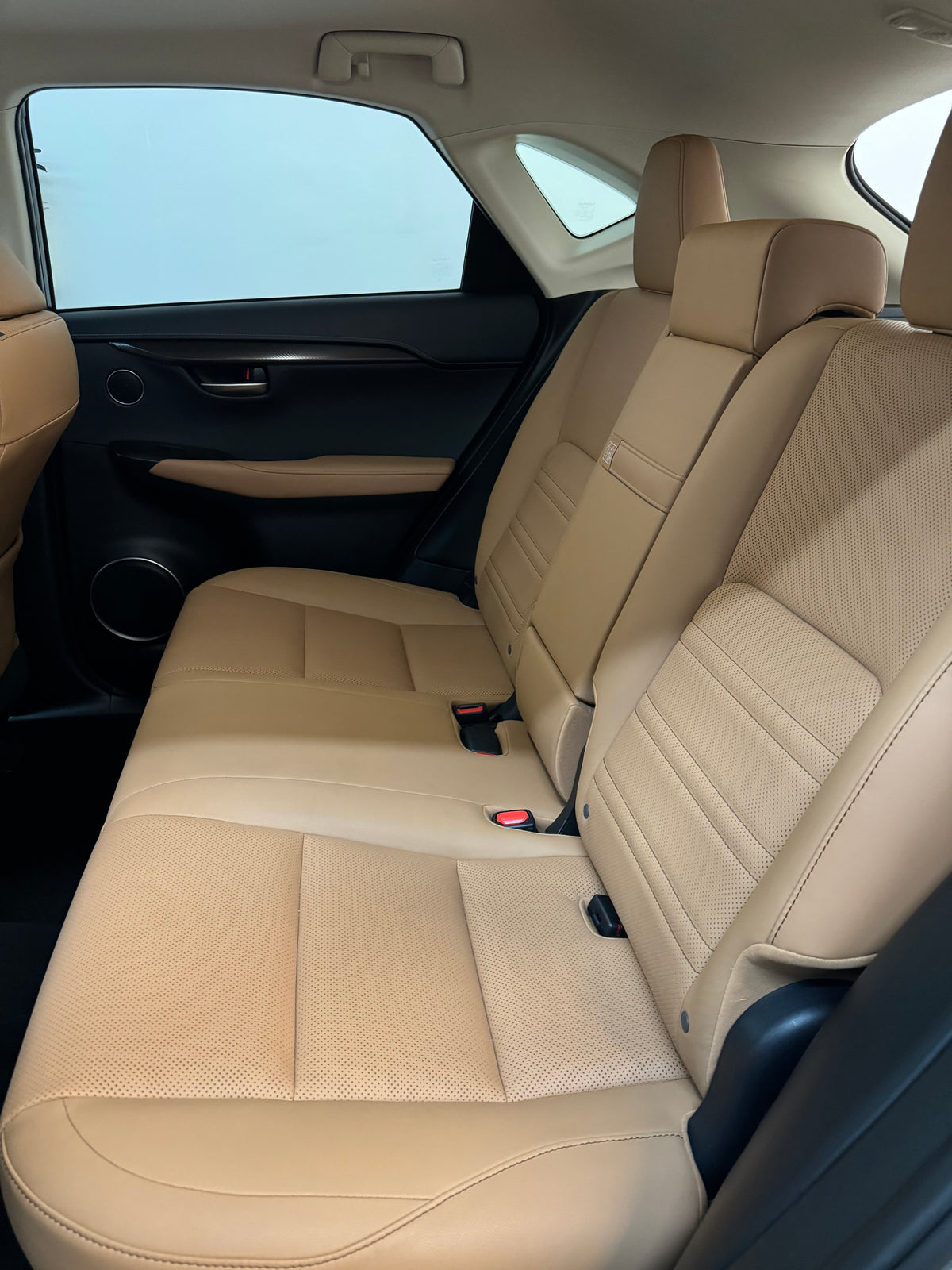 Interior Leather Cleaning and Conditioning