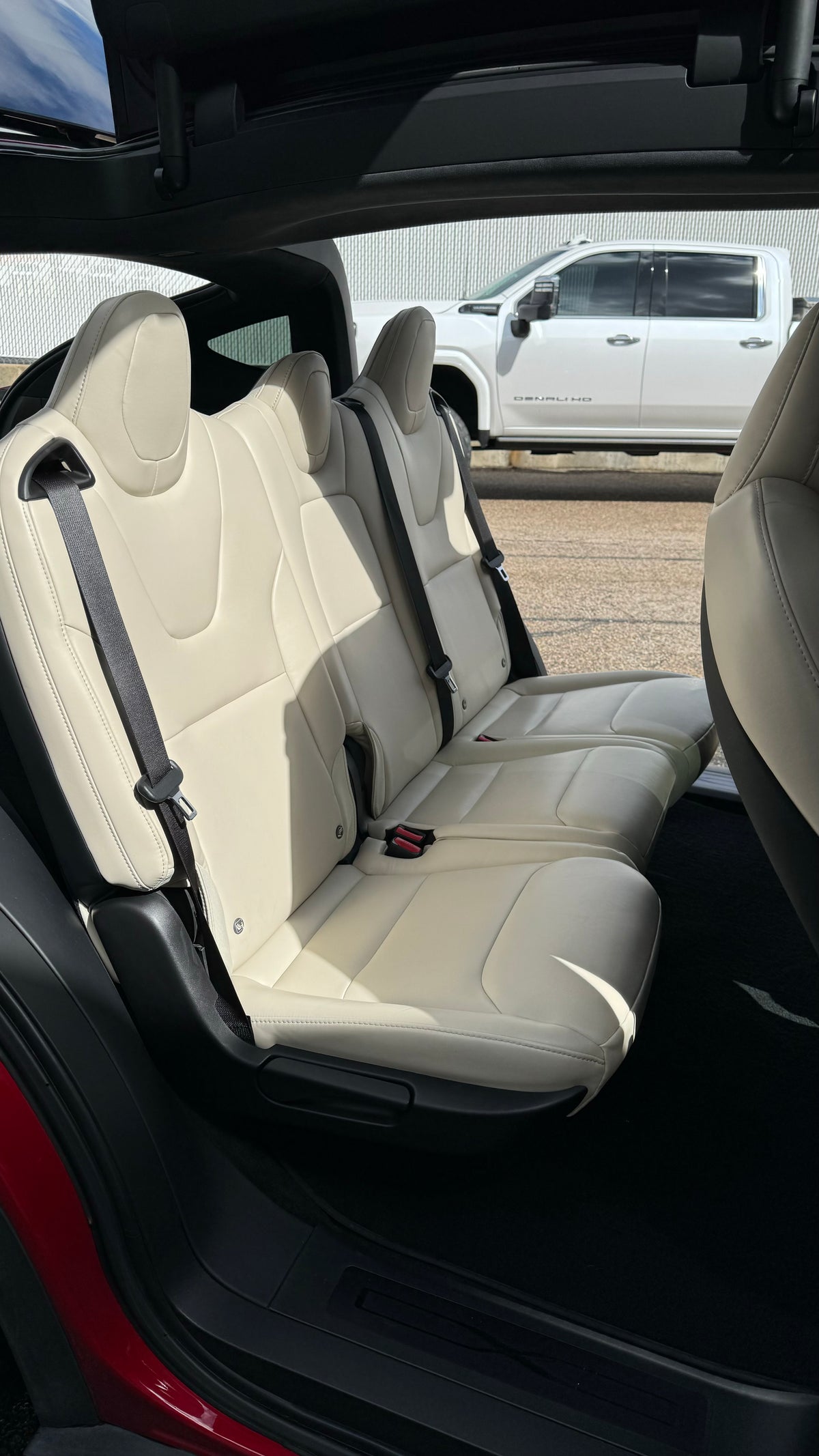 Interior Leather Cleaning and Conditioning