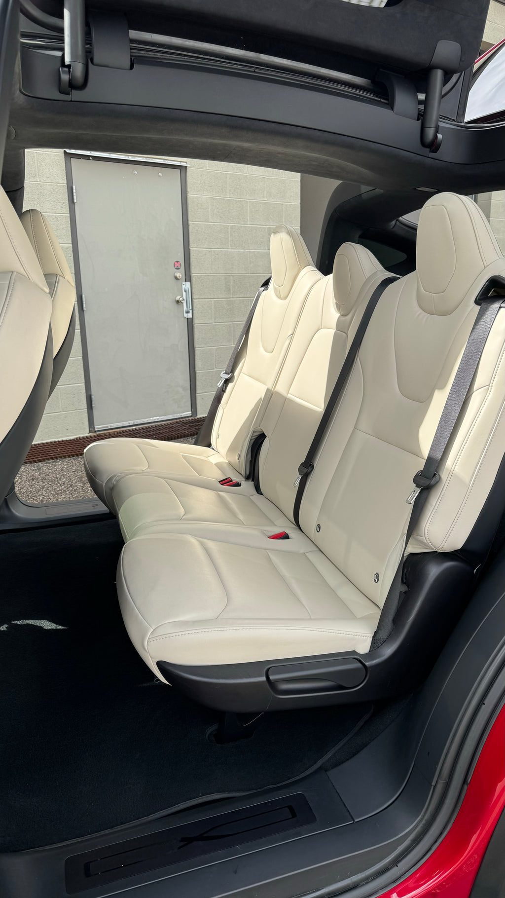 Interior Leather Cleaning and Conditioning